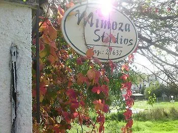 Apartament Mimoza