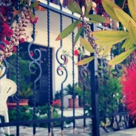 Mimoza Studios