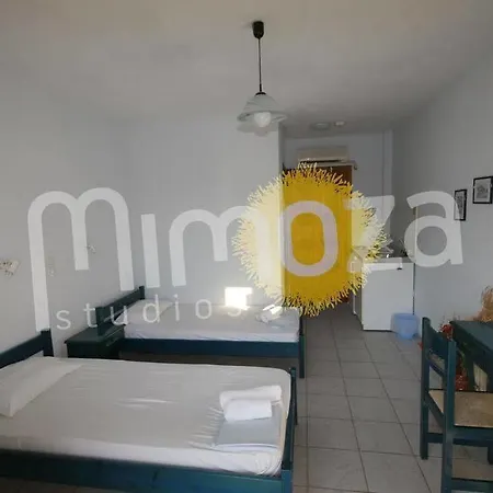 Mimoza Studios Apartment *